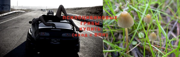 метадон Алзамай